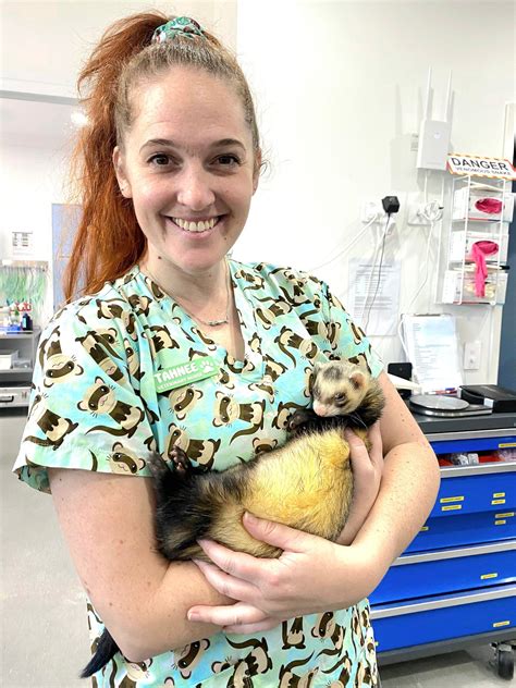 How sweet is this little cuddle... - Lennox Head Vet Clinic | Facebook