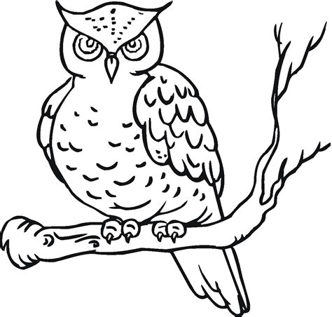 Free Printable Owl Coloring Pages For Kids