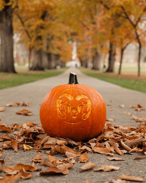 Colorado State University - CSU Design and Merchandising students