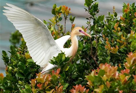 Wife+Spreading+Legs Photos, Download The BEST Free Wife+Spreading+Legs