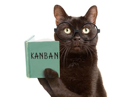 TOP 5 Kanban books for beginners – Kanban+