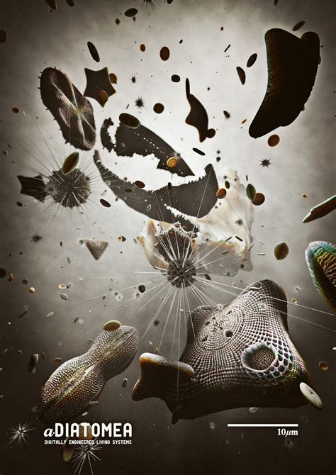MRK: Prints and Posters on Behance