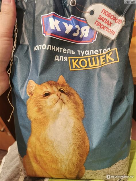 Наполнитель для кошачьего туалета КУЗЯ для кошек - «Шотландская кошка ...