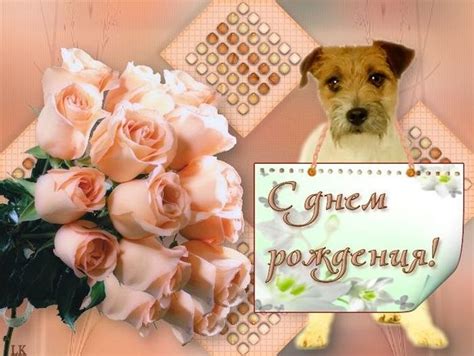 Картинки с поздравлениями мужчине и женщине на 59 лет