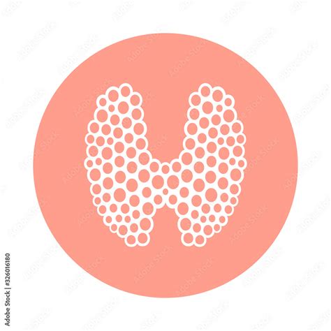 thyroid graphic sign thyroid gland symbol   circle isolated