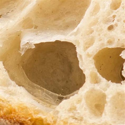 Collection 96+ Pictures Zoomed In Pictures Of Everyday Objects Stunning