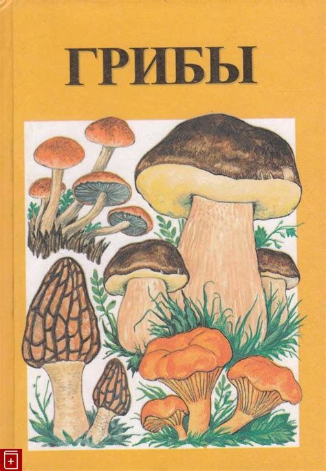 Книга Грибы Справочник Купить книгу 5-88682-049-3 в интернет-магазине ...