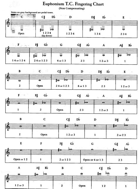 Euphonium Range Chart at Erin Ayers blog