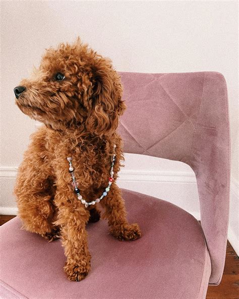 (@srrymomofficial) • Instagram photos and videos