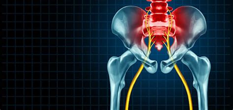 Hips and Why They Are Important - Unlock Your Body Fit