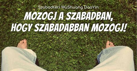 kinai gerinctorna budapest xvii keruelet varosliget pecel
