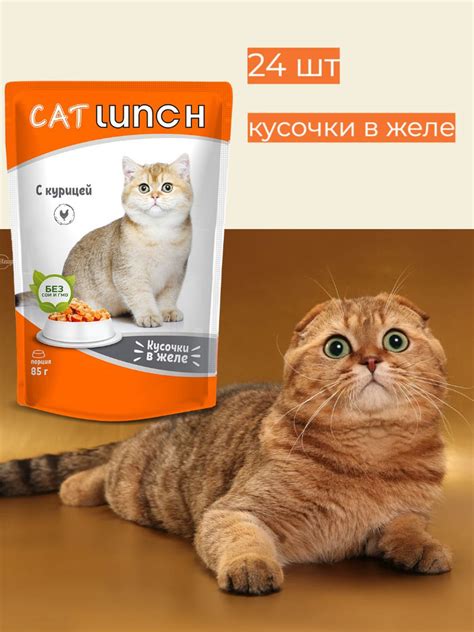 Cat Lunch Курица паучи для кошек кусочки в желе 85г (24 штуки) - купить ...