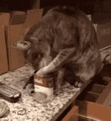 Cat Soup Nekojiru GIF - Cat Soup Nekojiru Neko - Discover & Share GIFs