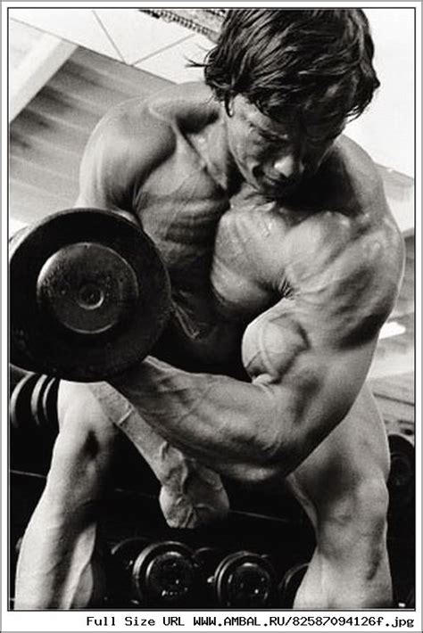 Арнольд Шварценеггер (Arnold Schwarzenegger), фотографии, биография ...