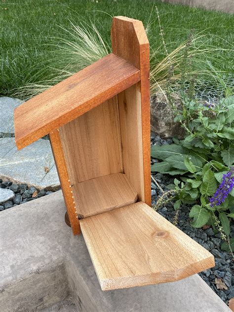 Shop Barn Owl Boxes | Amador Barn Owl Box Company