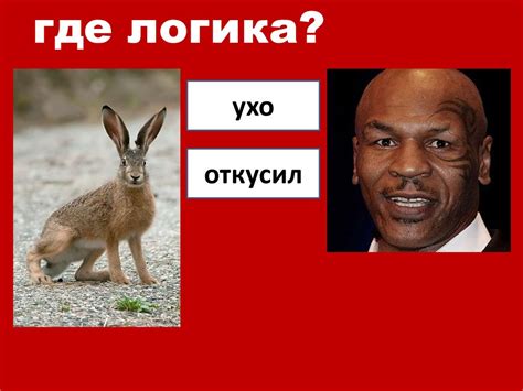 Где логика? Игра - презентация онлайн