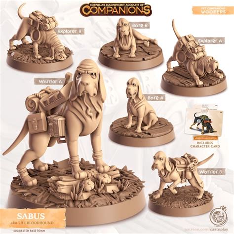 Miniature Bloodhound