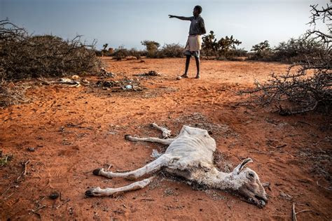 Climate change caused catastrophic East Africa drought, scientists say ...