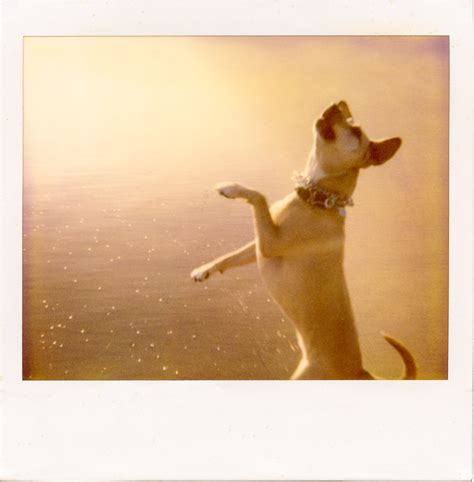 Lucy at the Beach – FRANK Gallery