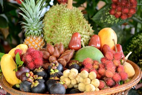 Exotic Fruit Growing Learn About Different Tropical Fruit