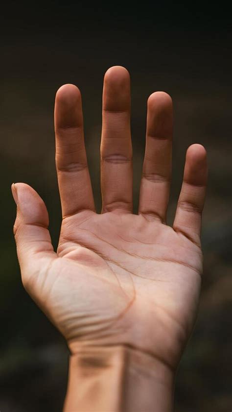 hand stock  images  backgrounds