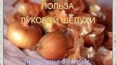 шелуха лука - YouTube