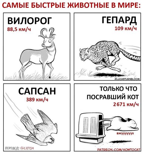 Самые быстрые животные в мире | сон разума порождает чудовищ...