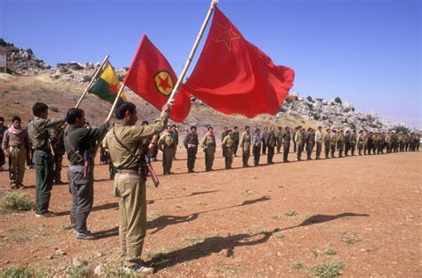 The Kurds Who Died for Palestine - New Lines Magazine