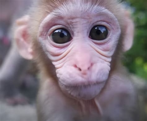 Customers praise the service at shelly motors after recent changes 12