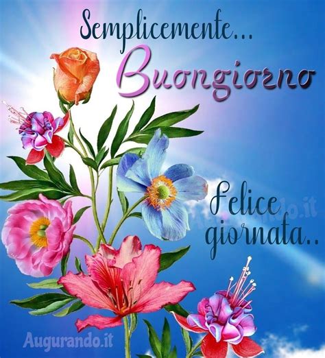 Italian Memes, Good Morning Roses, Best Love Quotes, Good Evening, Eve Parties, Blooming Flowers ...