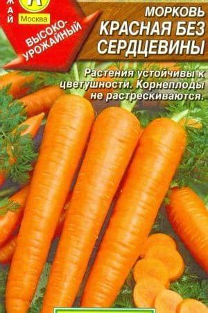 Красная морковь без сердцевины: Звезда f1, Боярыня, описание сорта и ...