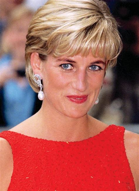 BRINGING HER BOYS TOGETHER PRINCESS DIANA WILLIAM AND HARRY UNITE TO ...