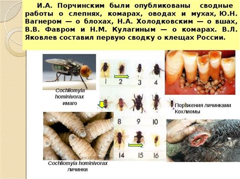 Паразитология