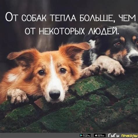 Пин от пользователя ÐÐ»ÑÐ³Ð° ÐÐ¸ÐºÐµÐ»ÑÑÑÐµÐ¹Ð½ на доске цитаты про ...