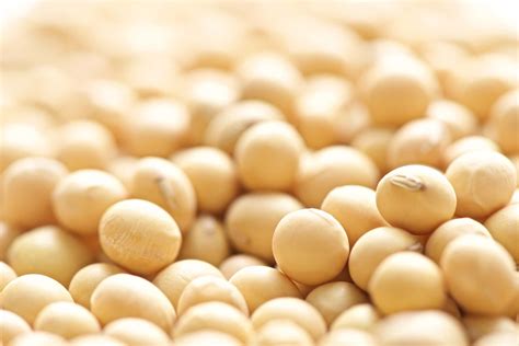 Lidea - Naše sorte semena soje za poljoprivrednike - Lidea Seeds