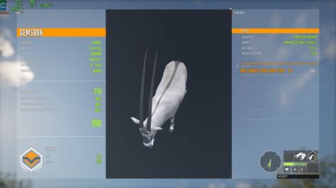 finally    diamond gemsbok thehunter