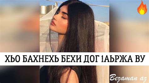 Хьо Бахьнехь Боху Бехи Дог 1аьржа Кура Ву😏😏 - YouTube