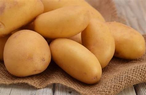 Купить клубни семенного картофеля в Краснодарском крае – доставка ...