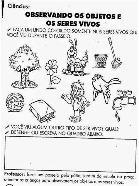 Ensino de Ciências: Plano de Aula - Ciencias (3º Ano): Componentes do ...
