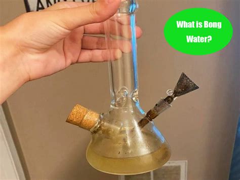 bong water good  plants    lookah