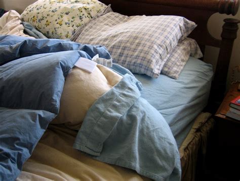 Making Your Bed In The Morning — Fascinating! - Reasons to Live For