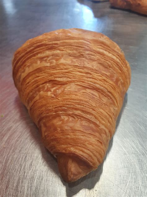 This massive wasp nest in my backyard : r/misleadingthumbnails