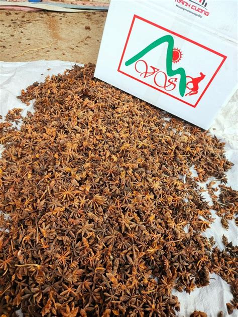 Star Aniseed Or Badiyan, Packaging Type: Box, Packaging Size: 5 kg at ...