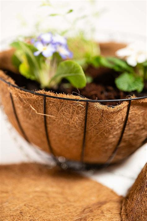 Coco Hanging Basket Liner | Coco & Coir