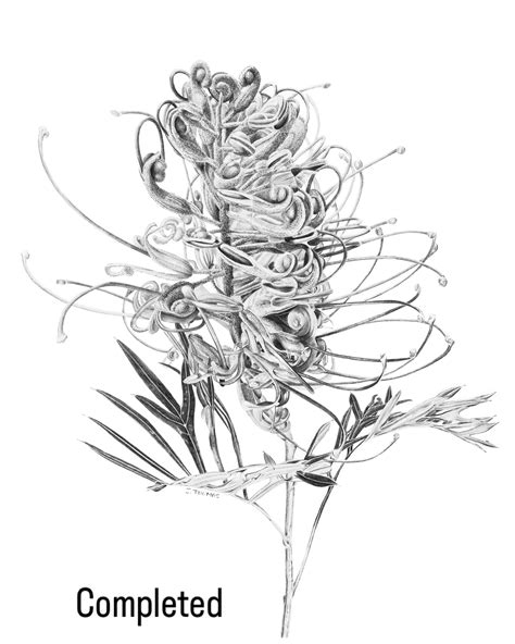 Joanna Thomas💚 Botanical Artist (@joannathomas_art) • Instagram photos