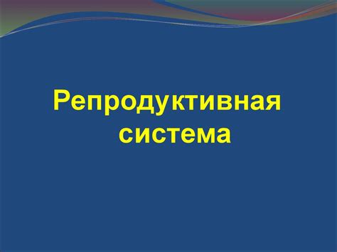 Репродуктивная система - презентация онлайн