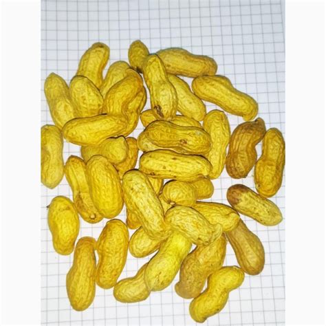 Продам арахис Жаренный в скорлупе, купить арахис Жаренный в скорлупе ...