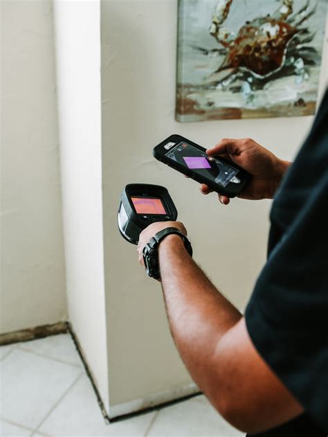 mold detection in home 8