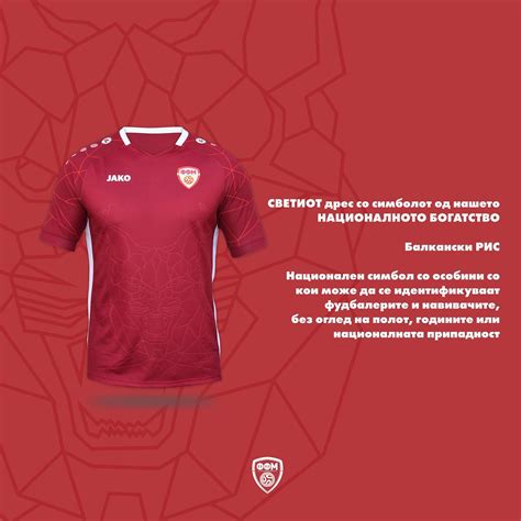 New Macedonian Jersey design leaves out national colors - prompting ...