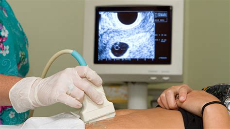 Medical Imaging Erina | Ultrasound